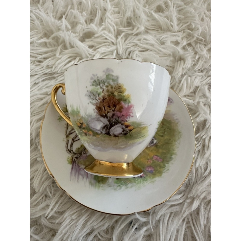 Shelley England Tea‎ Cup